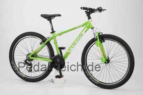 Focus Raven Rookie 2.0  technische daten 